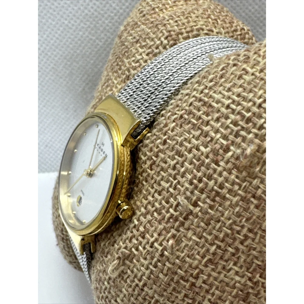 Skagen 355SGSS Women Silver Stainless Steel Mesh Analog Dial Wrist Watch JNA886